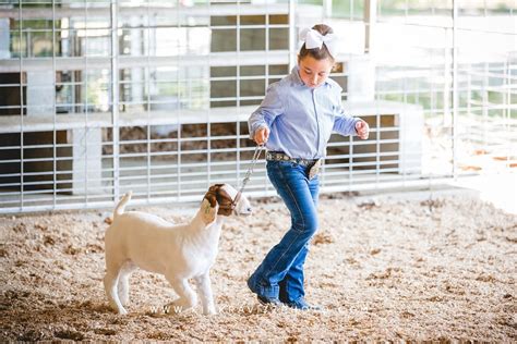 Photography Throwback | Livestock Show - Mrs. Kim Kravitz