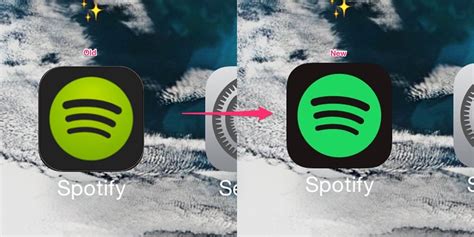 spotify   shade   official logo fans  crazy logo
