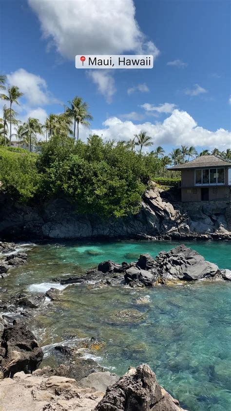 Maui Hawaii Travel Hawaii Summer Travel Ideas Snorkeling Cliff