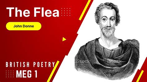 The Flea John Donne Meg 1 British Poetry Free Notes And