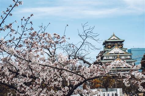 Premium Photo | A view of the castle from the castle grounds