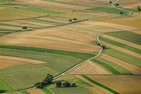 Parcelas Y Sistemas De Cultivo Los Paisajes Agrarios