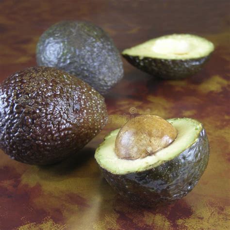 Avocado stock photo. Image of food, avocado, guacamole - 258864