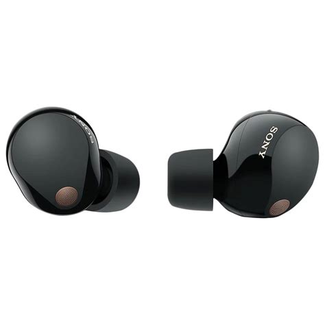 Sony Truly Wireless Noise Canceling Earbuds in Black
