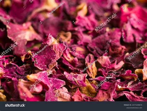 dried rose petals background texture stock photo  shutterstock