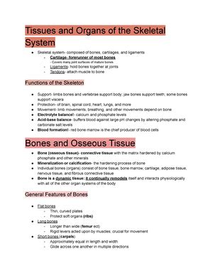 Ch 8 PPT Chapter 8 Notes The Skeletal System Axial Central