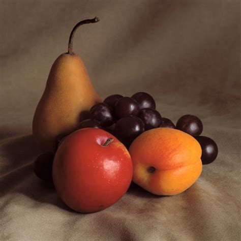 Still Life With Fruit I Amy Lamb Studio Llc