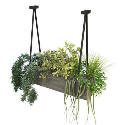 Indoor Celling Plant Box Set 197 3D Model For VRay Corona