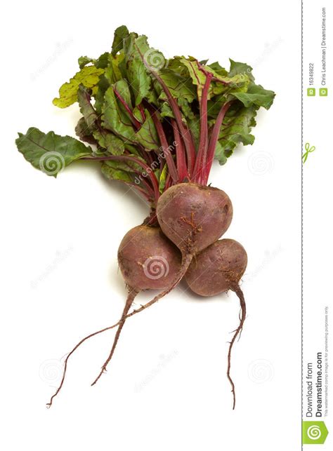 Isolated Beetroot Stock Photo Image Of Beetroot Beet 16349822