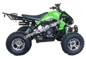 Extreme Cougar Cc Sport Atv Wheeler Quad Automatic Transmission