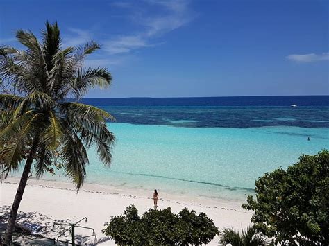 Dumaluan Beach Resort Bohol 2022 Updated Prices Deals