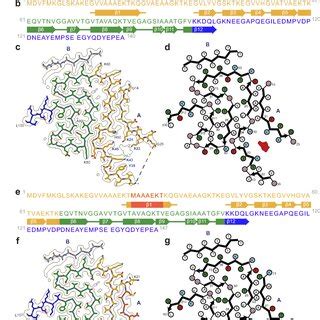 Cryo Em Structures Of Jos Singlet Synuclein Filaments A