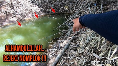 Rejeki Nomplokmusim Paceklik Nemu Sarang Babon Mancing Ikan Red