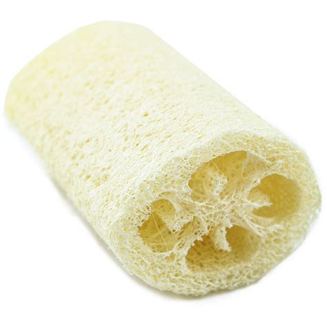 Natural Loofah Sponge Bestowed Essentials Earthhero