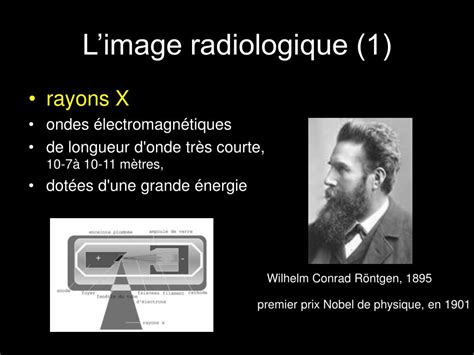 PPT Introduction à la sémiologie radiologique de lappareil