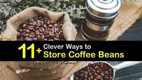 11+ Clever Ways to Store Coffee Beans