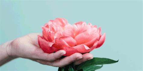 10 WTF Myths About Your Vagina That Couldn T Be More Untrue YourTango