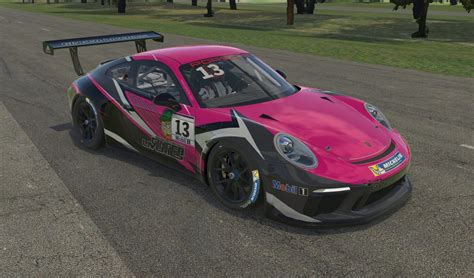 Gl 911gt3 Hot Magenta By Rick W Trading Paints