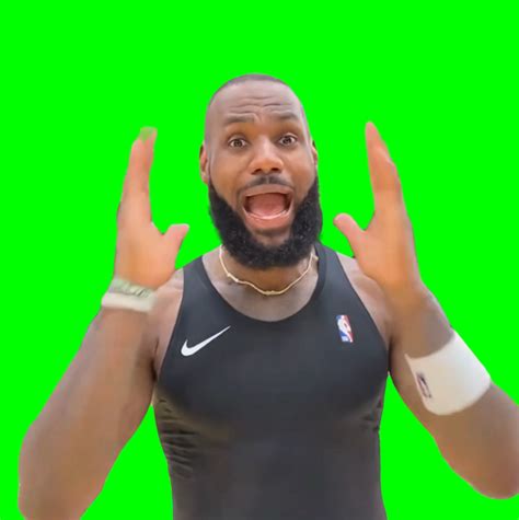 Lebron James Screaming Meme Green Screen Creatorset