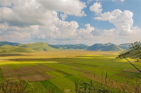 Stampe Artistiche Quadri E Poster Con Castelluccio Di Norcia Erba