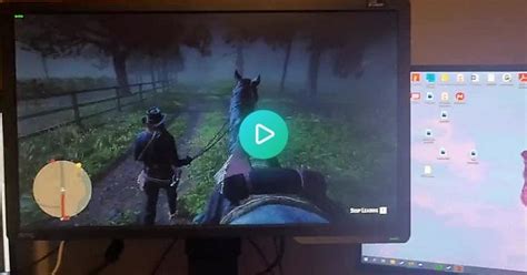 Afk horse bonding for only $1.57! : r/RDR2