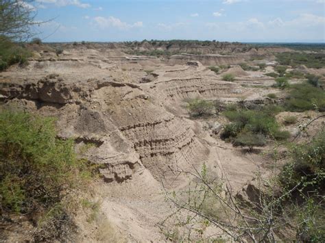 One of the oldest human fossils just got older: study