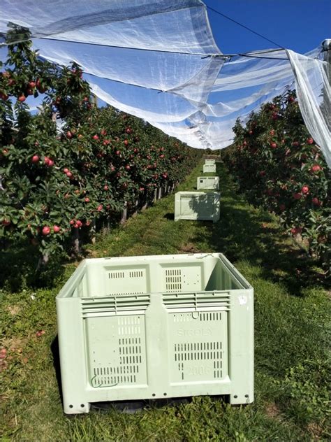 Ouverture De Notre Cqp Vendeur Euse En Fruits Et L Gumes Sur Lyon