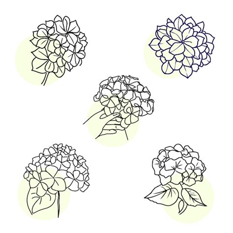 Set Di Illustrazioni Artistiche Linea Fiori Schizzo Disegnato A Mano In