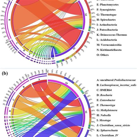 Microbial Community Structures In The Phylum A And Genus B Levels