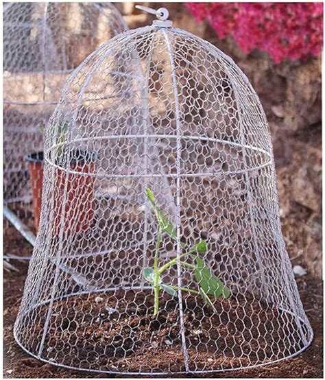 Chickentree 4 Pack 14 Inches Squirrel Proof Wire Cloche For Plants