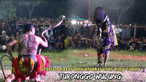 Tarisa Kasol Dan Bayu Atraksi Ular King Cobra Jaranan Turonggo Wulung