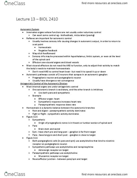 Biol Lecture Notes Spring Lecture Postganglionic