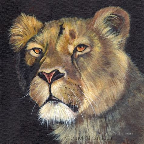 Janet M Graham S Painting Blog Lioness In Acrylics