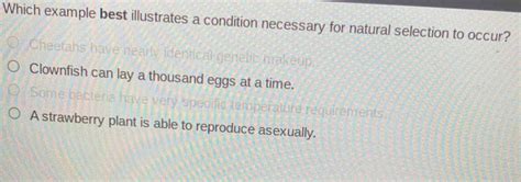Which Example Best Illustrates A Condition Necessary For Natural