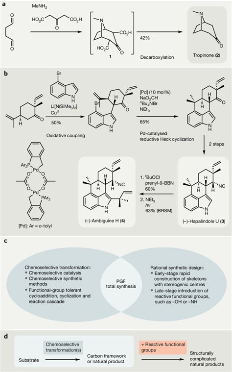 Classic Examples Of Pgf Synthesis A In Robinson Reported