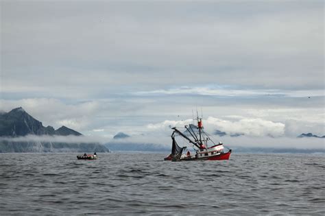 Gestión Responsable De Pesquerías Alaska Seafood