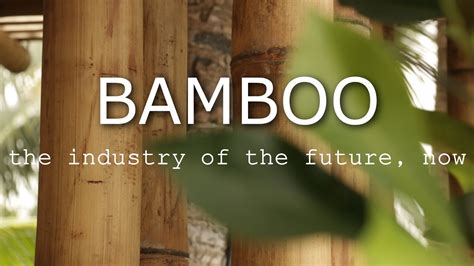 Bamboo The Industry Of The Future Now Youtube