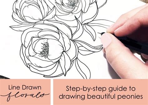 Peony Drawing Tutorial