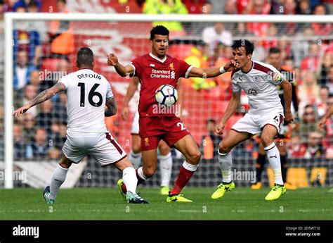 Liverpool's Dominic Solanke Stock Photo - Alamy