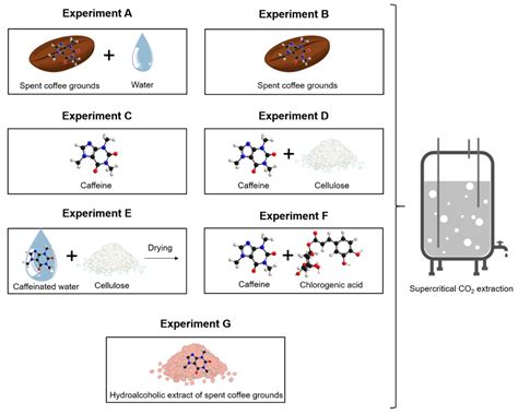 Supercritical Carbon Dioxide in Presence of Water for the Valorization