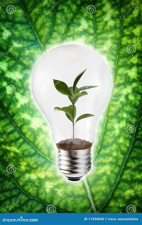 Green Energy Concept Stock Photo Image Of Energy Green 11934058