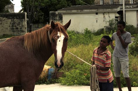 Thinking of Going Abroad? Study in Barbados - The Bottom Line UCSB