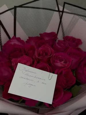 Роза гул фото - 65 картинок