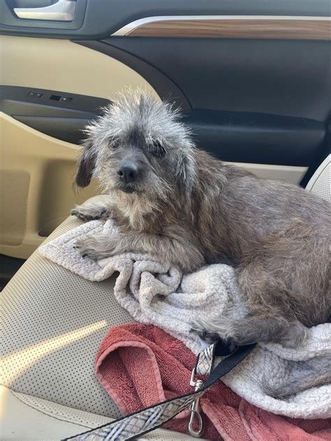 Harmony Vet Care added a new photo. - Harmony Vet Care