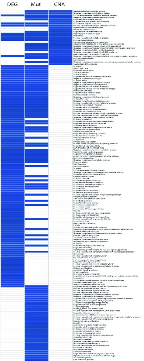 Clustergram Of Network Enrichment Analysis Go Bp Enriched Terms By