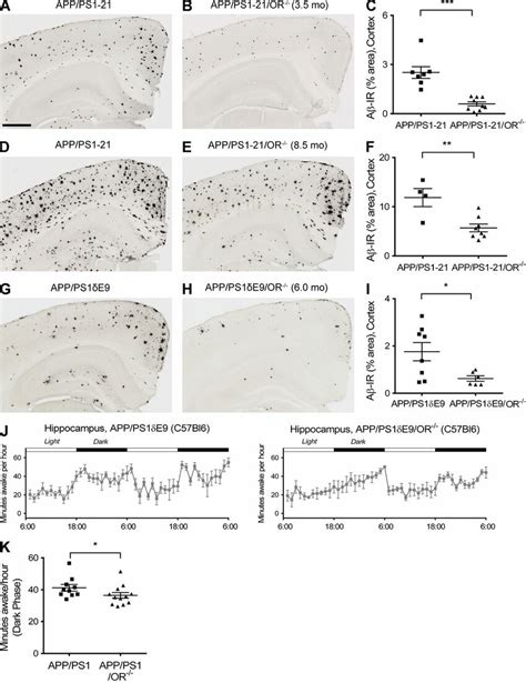 Marked Reduction Of Aβ Pathology In The App Ps1 Or− − Mice Compared