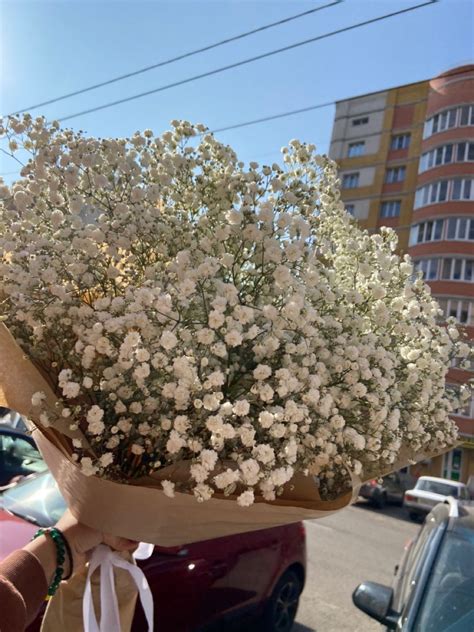 Boquette Flowers Babys Breath Flowers Beautiful Bouquet Of Flowers