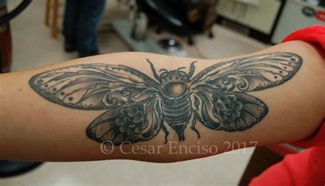 Top Moth Elbow Tattoo Best In Cdgdbentre