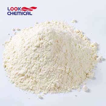 Papain Enzyme Powder Cas Supplier