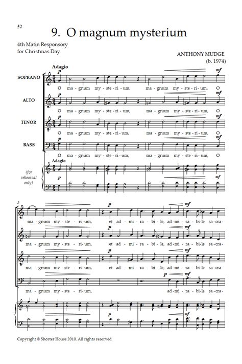 Sleep Holy Babe Shorter House